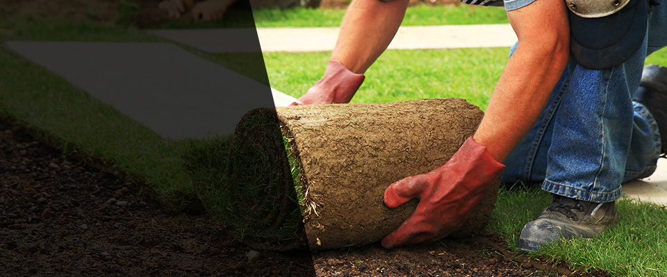 Pensacola Landscapers